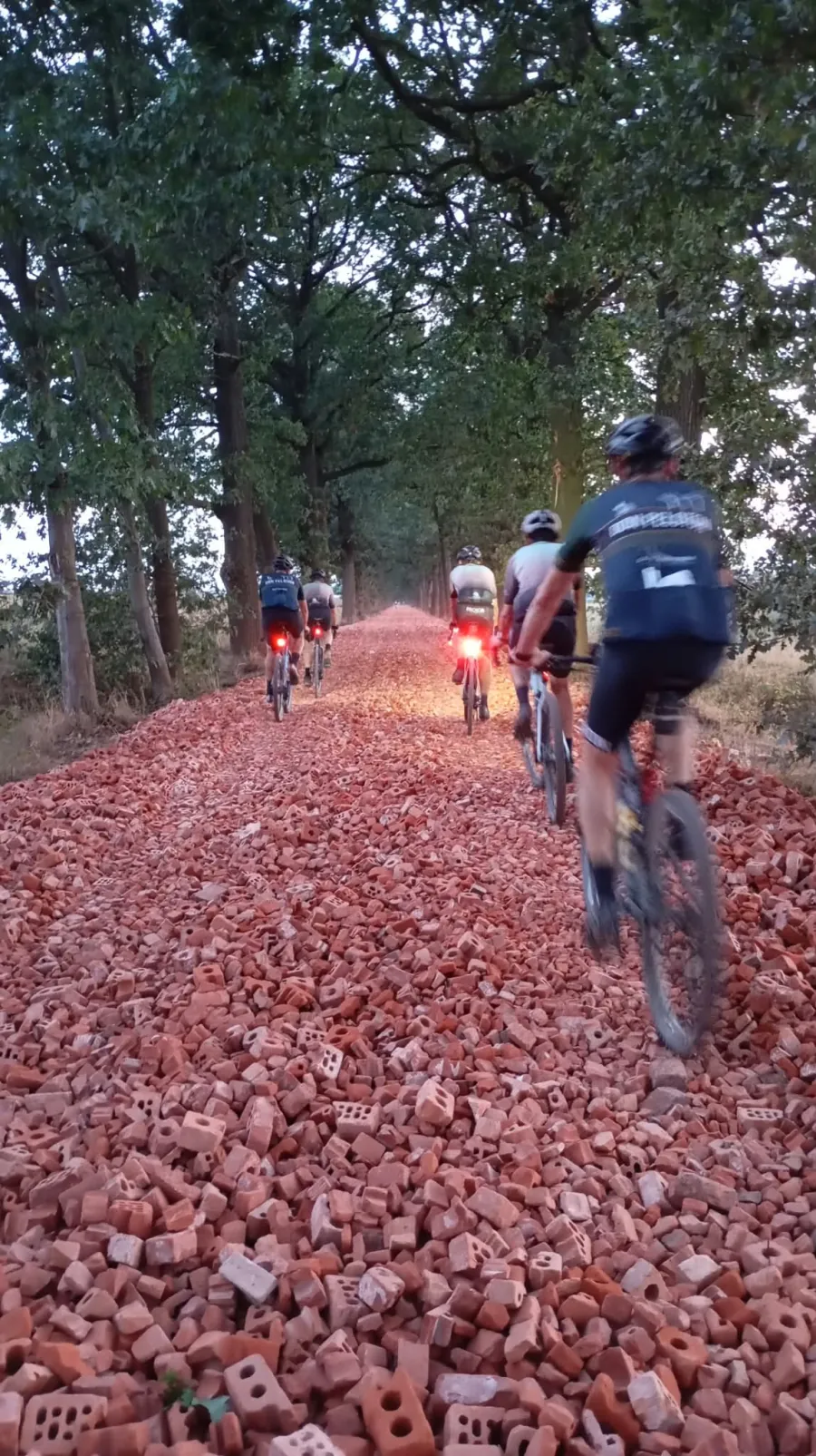 Mountainbikers volgen elkaar over een met bakstenen bedekt pad tussen de bomen.