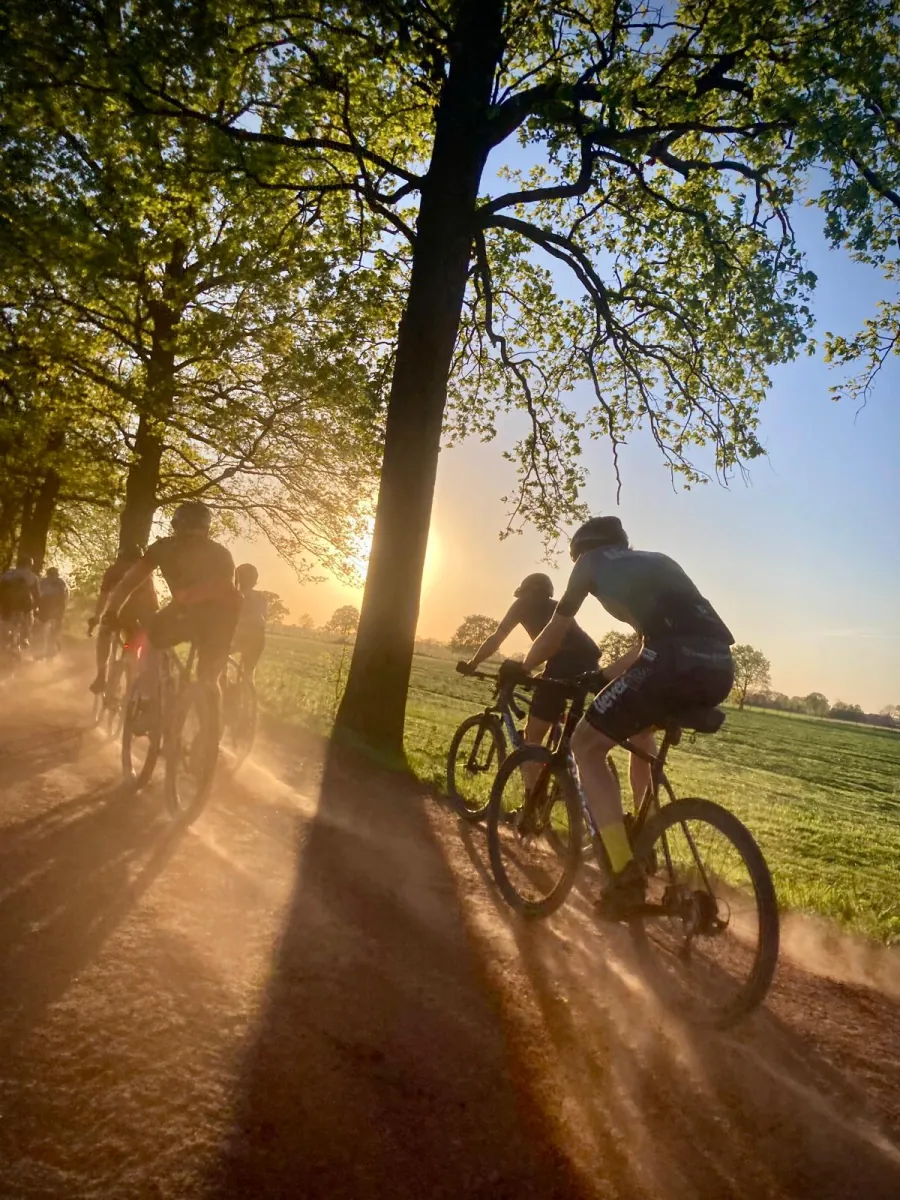 Fietsers op een bospad met laag zonlicht tussen de bomen.